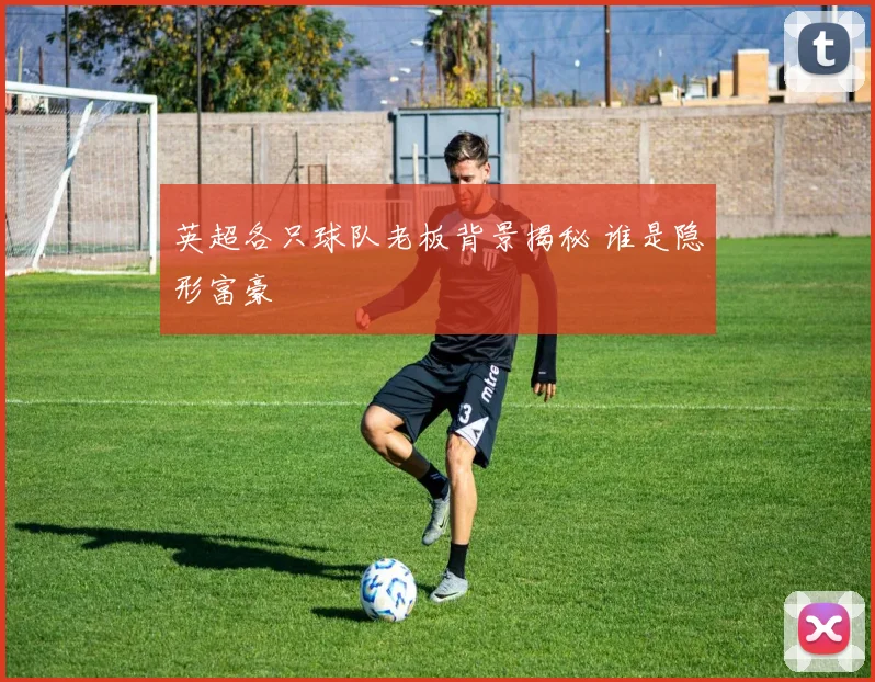 英超各只球队老板背景揭秘 谁是隐形富豪